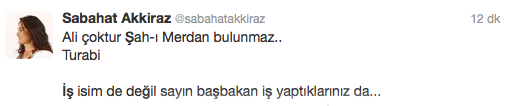 Akkiraz'dan Başbakan'ın torun adına tepki