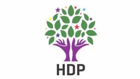 HDP Alevi katliamını protesto etti