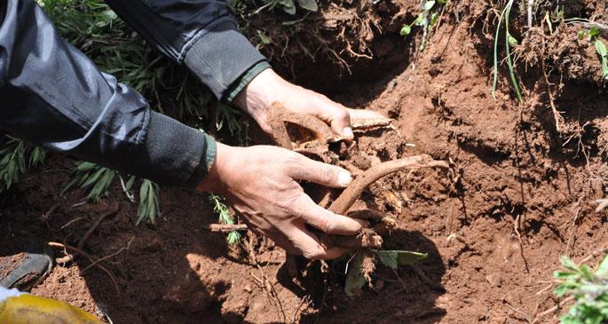 Dersim'de nereyi kazsan kemik fışkırıyor