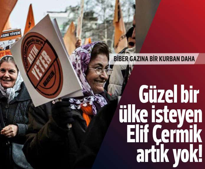Elif Çermik 159 gün sonra yaşamını yitirdi
